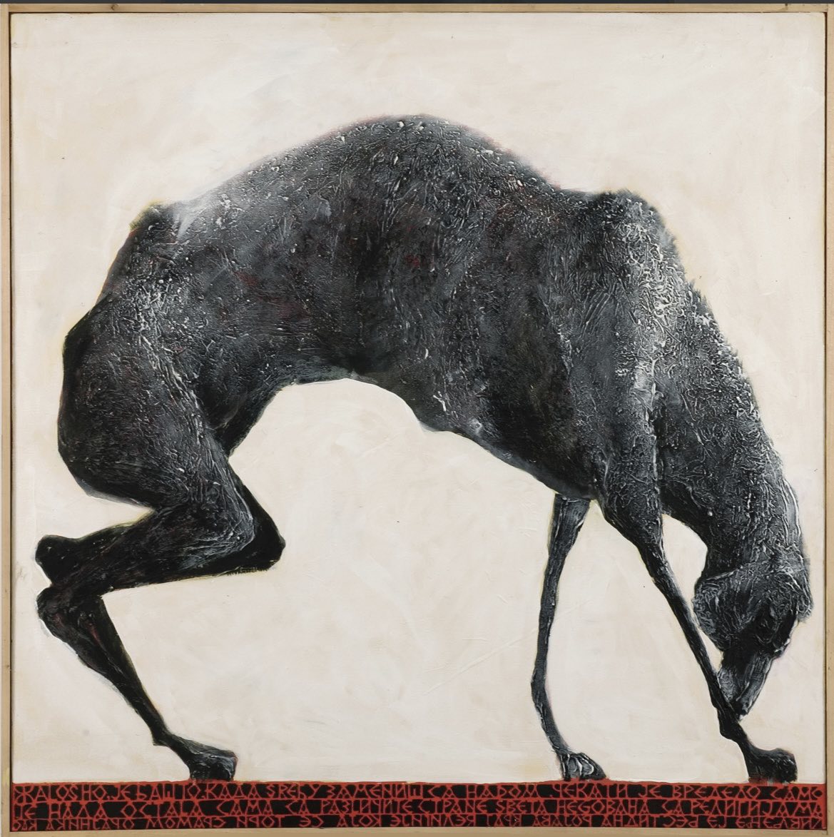 viber slika 2026 03 03 08 47 29 037